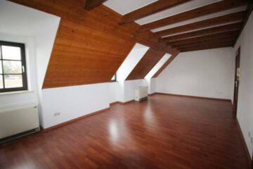 Beste City-Lage: Schönes Maisonette-Appartement im Dachgeschoss – WR 4143, 68161 Mannheim, Wohnung
