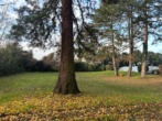 Garten - Kanzlei, Praxis, Arbeiten und Wohnen – 4.000 m² Grundstück mit Haus in Top-Lage – BS 4140