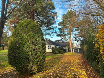 Kanzlei, Praxis, Arbeiten und Wohnen – 4.000 m² Grundstück mit Haus in Top-Lage – BS 4140, 67227 Frankenthal, Bürofläche
