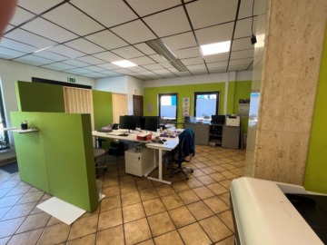 Vielseitige Büro- und Hallenflächen – BR 3883, 67240  Bobenheim-Roxheim, Halle